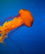 Image upload testing catalog